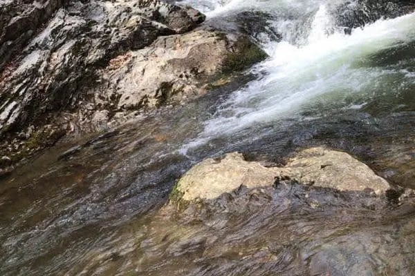 Çifte Kaynaklar Piknik ve Kamp Alanı - Resim 19