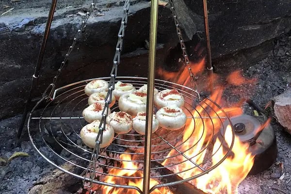 Çifte Kaynaklar Piknik ve Kamp Alanı - Resim 7