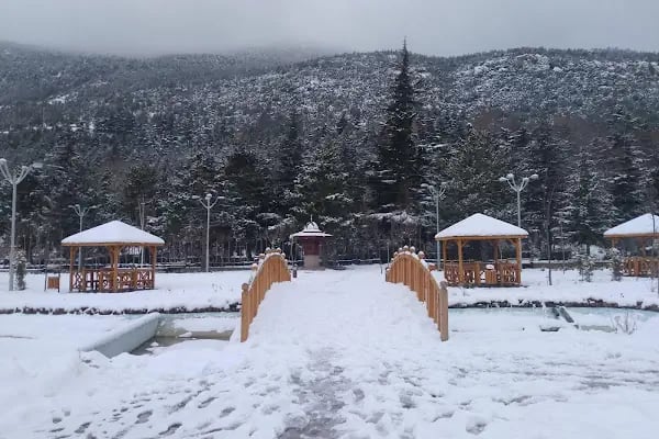 Akşehir Şehit Ömer Halisdemir Kültür Merkezi - Resim 4