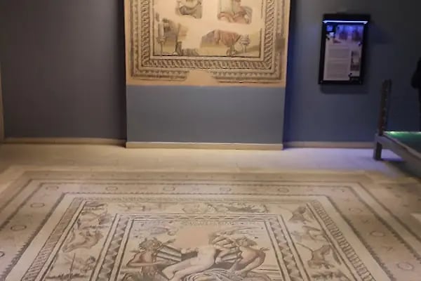 Zeugma müze - Resim 13