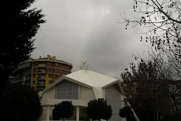 Yenişehir Hz.Ömer Camii - Resim 20