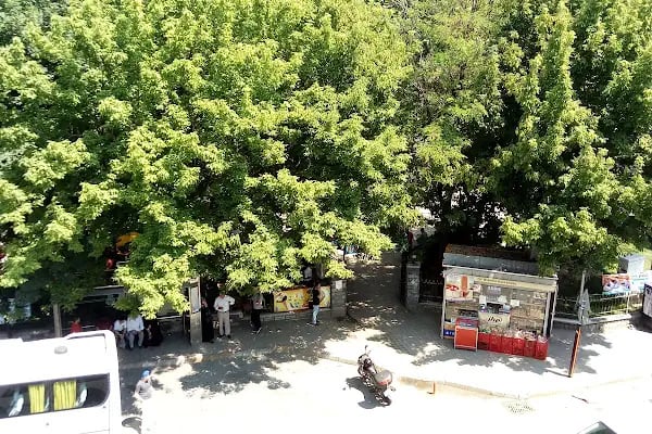 BAĞCILAR BELEDİYESİ DAĞYOLU PARKI - Resim 4