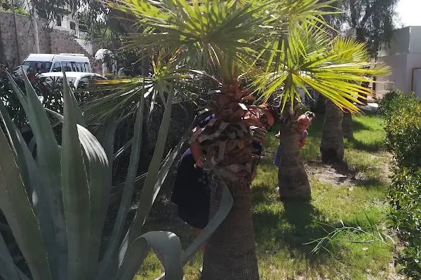 Cactus Fleur Beach Club - Resim 7