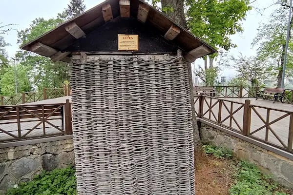 Trabzon Botanik Bahçesi - Resim 16
