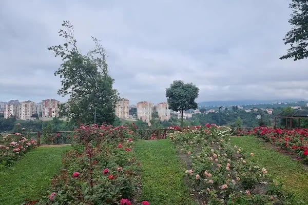 Trabzon Botanik Bahçesi - Resim 6