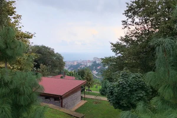 Trabzon Botanik Bahçesi - Resim 13