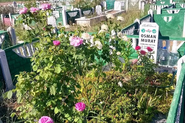 Emirsultan Mezarlığı - Resim 6