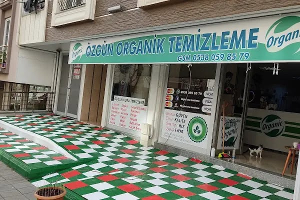 Özgün Organik Kuru Temizleme - Resim 3