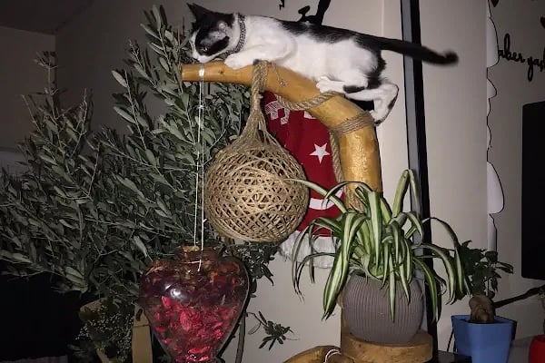 Özgün Organik Kuru Temizleme - Resim 17