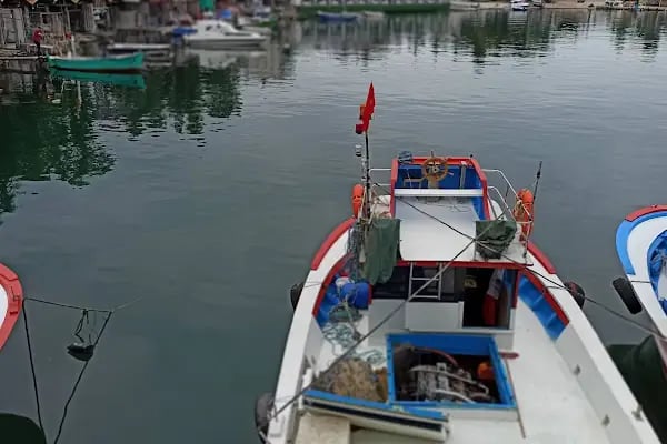 DHL eCommerce - Akçaabat Şubesi - Resim 5