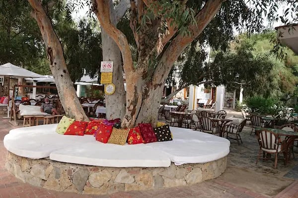 Bitez Beach Bar - Resim 5