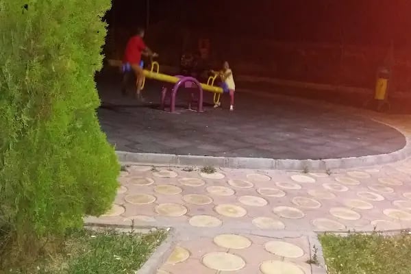 Ceylanpınar - Resim 6
