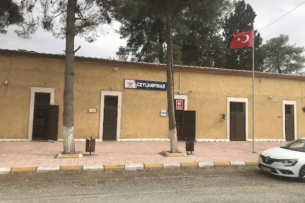 Ceylanpınar - Resim 13