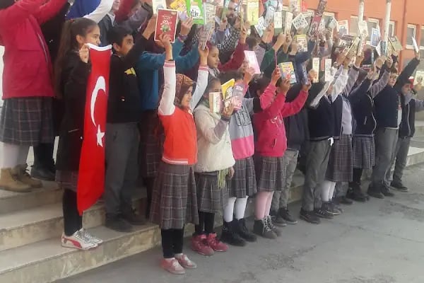 Ceylanpınar - Resim 8