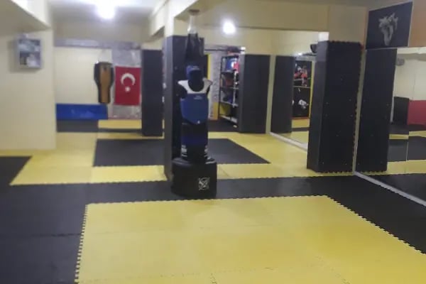 Yeni Yetenekler Spor Kulübü - Resim 1
