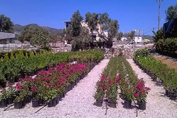 BAHÇE PEYZAJ - Resim 3