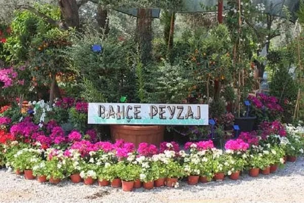 BAHÇE PEYZAJ - Resim 7