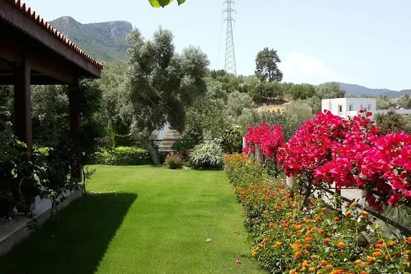 BAHÇE PEYZAJ - Resim 1