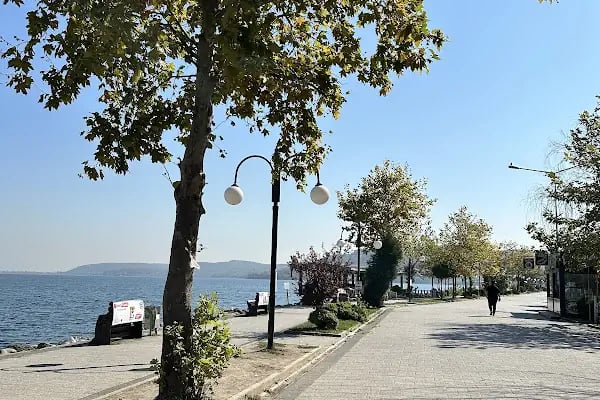 Sakarya Uygulamalı Bilimler Üniversitesi Turizm Fakültesi - Resim 14