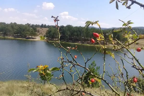 ANKARA KAMP KARAVAN KLUBU - Resim 15