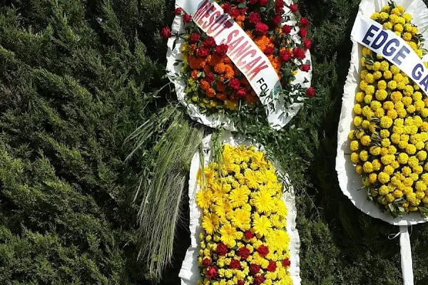 Eflatun Bahçesi - Resim 11