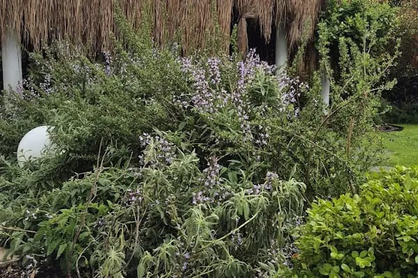 Bitez Garden Life Hotel &amp; Suites - Resim 20