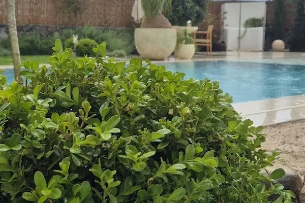 Bitez Garden Life Hotel &amp; Suites - Resim 17