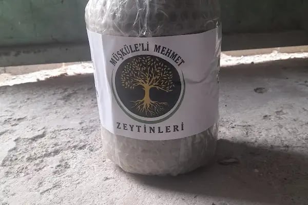 Müşküleli Mehmet Zeytinleri - Resim 6