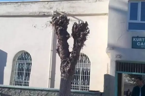 Kurtuluş camii - Resim 3