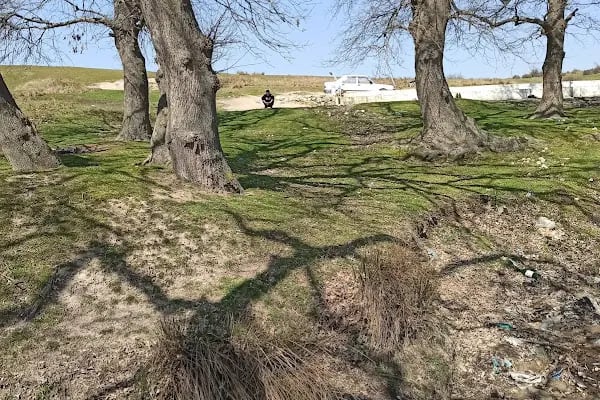Kızılpınar Kocameşe Piknik Alanı - Resim 6