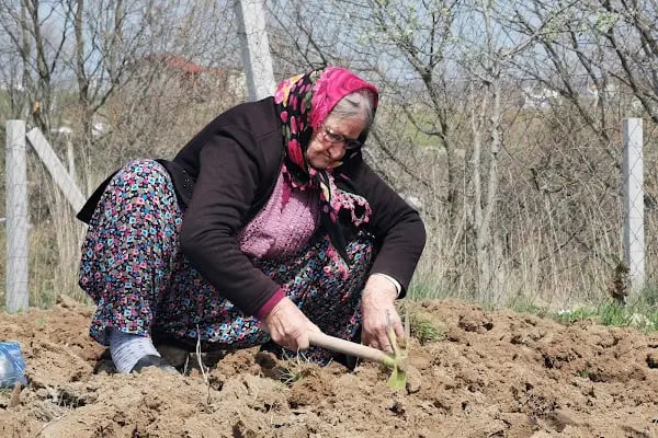 Kızılpınar Kocameşe Piknik Alanı - Resim 18