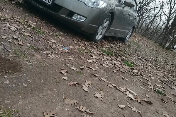 Kızılpınar Kocameşe Piknik Alanı - Resim 20