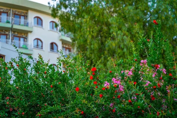 Riva Bodrum Resort Adult Only +16 - Resim 18
