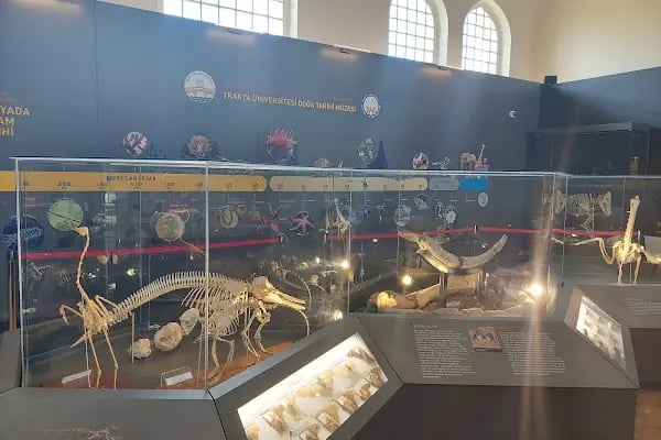 Trakya Üniversitesi Doğa Tarihi Müzesi - Resim 8