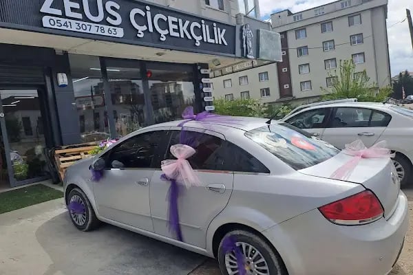 ZEUS ÇİÇEKÇİLİK - Resim 2