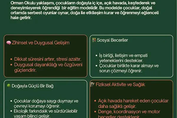 ANTALYA DENİZ VE ORMAN ANAOKULU - Resim 3