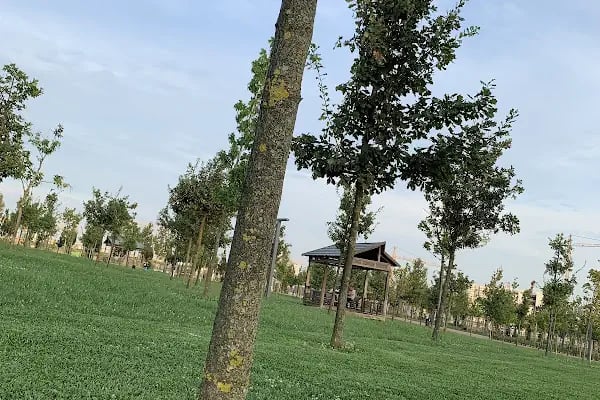 Başakşehir Millet Bahçesi - Resim 17