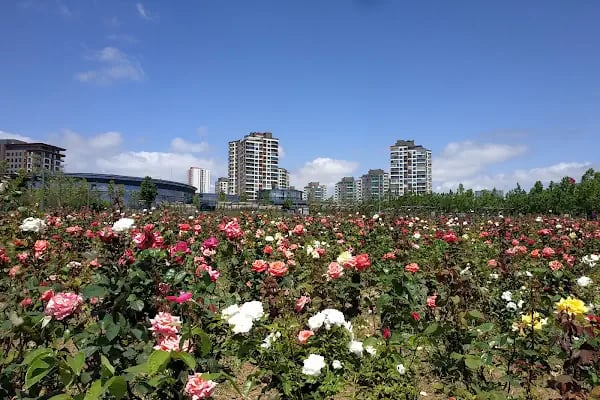 Başakşehir Millet Bahçesi - Resim 18