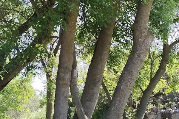 Akçadağ Belediyesi - Resim 18