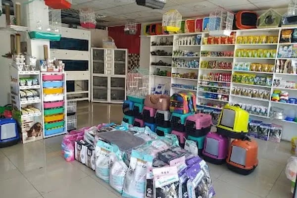 Sincan Çağrı petshop - Resim 19