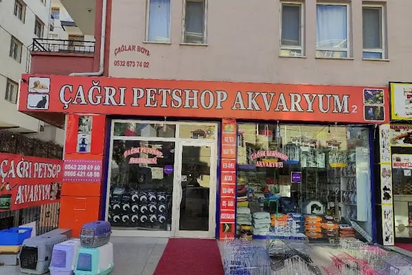 Sincan Çağrı petshop - Resim 4