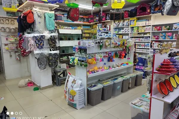 Sincan Çağrı petshop - Resim 14
