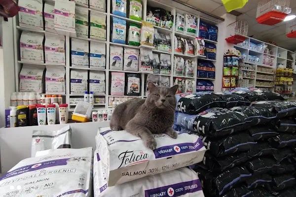 Sincan Çağrı petshop - Resim 2