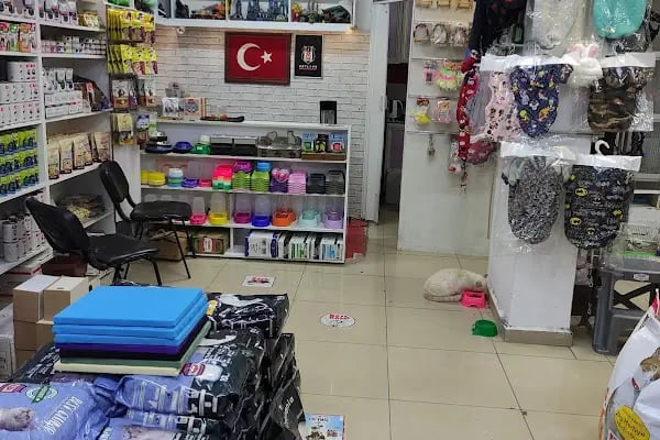 Sincan Çağrı petshop - Resim 20