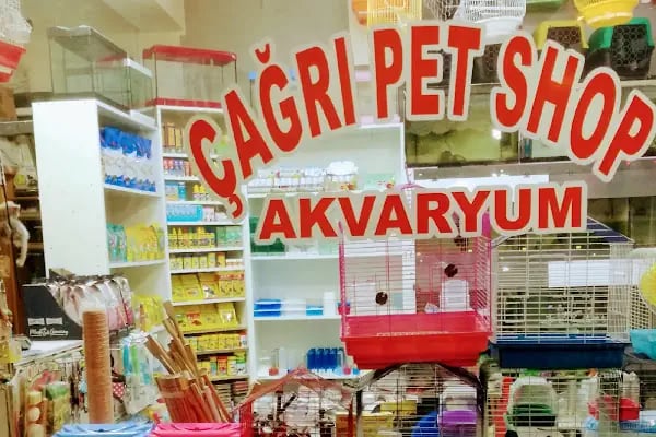 Sincan Çağrı petshop - Resim 18