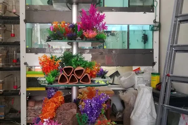 Sincan Çağrı petshop - Resim 11