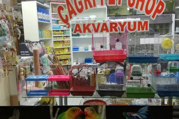 Sincan Çağrı petshop - Resim 17