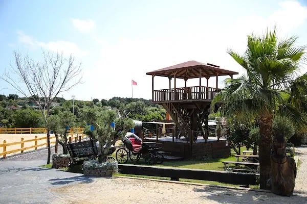Mavi At Binicilik - Resim 8