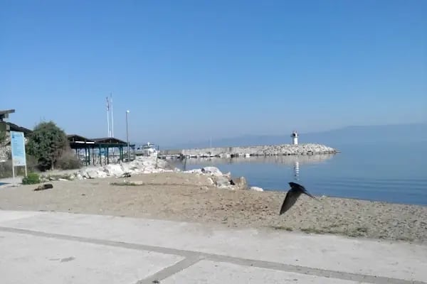 Kurşunlu Yat Limanı - Resim 17