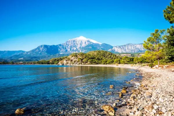 Atarlı Beach - Resim 15